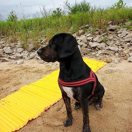 Gaestequartier Mittendrin In Anhalt Apartamento