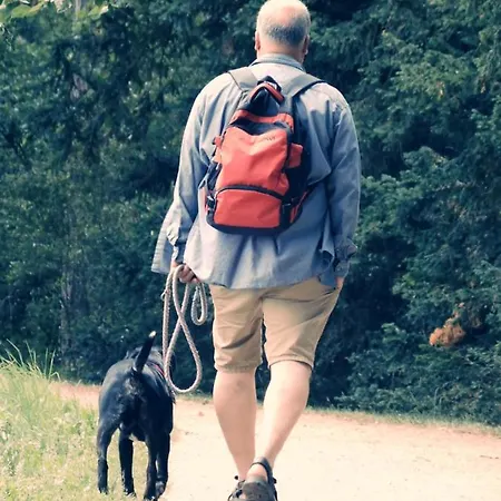 Apartamento Gaestequartier Mittendrin In Anhalt Coswig (Anhalt)