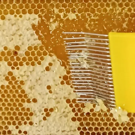 Gaestequartier Mittendrin In Anhalt Apartamento *