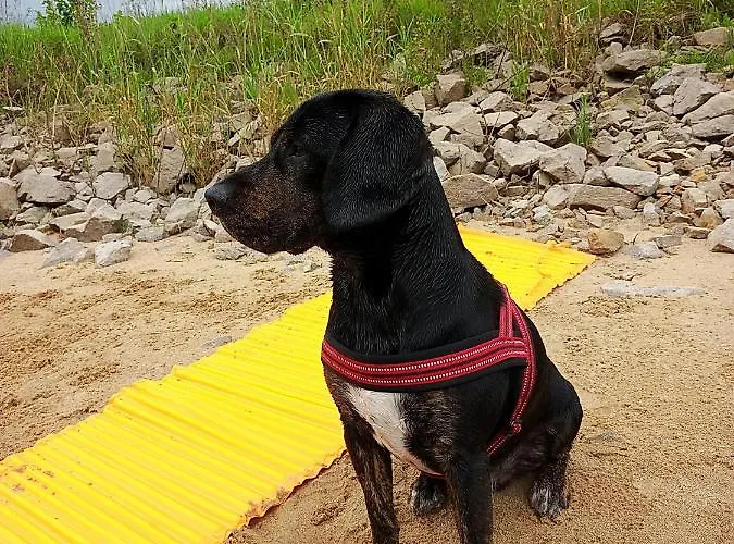 Gaestequartier Mittendrin In Anhalt Apartment