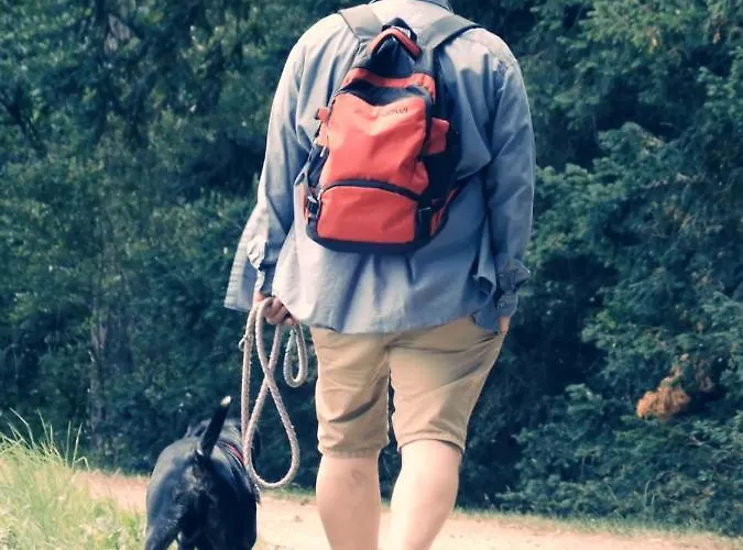 Apartment Gaestequartier Mittendrin In Anhalt Coswig (Anhalt)