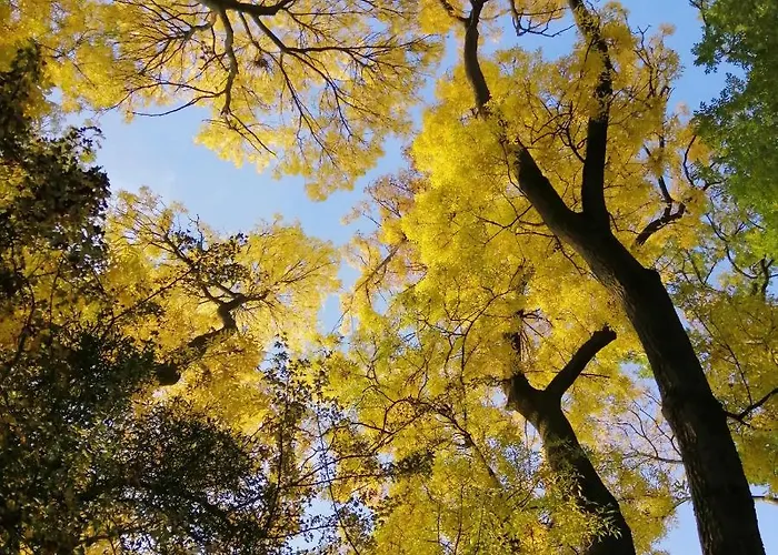 Gaestequartier Mittendrin In Anhalt * Coswig (Anhalt)
