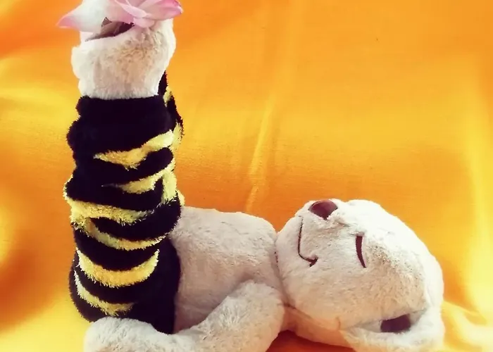 Apartment Gaestequartier Mittendrin In Anhalt *