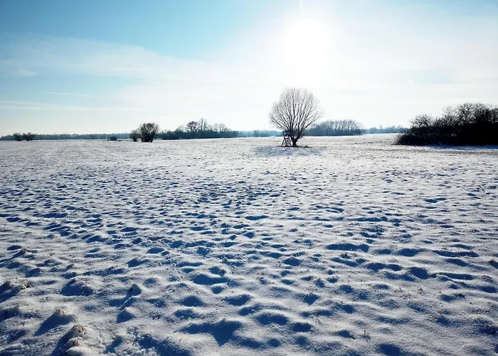 Gaestequartier Mittendrin In Anhalt Apartment Coswig (Anhalt)