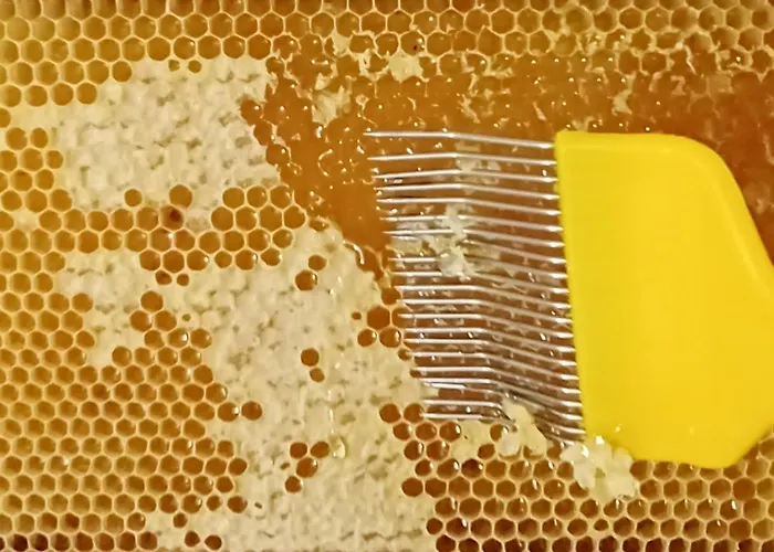 Gaestequartier Mittendrin In Anhalt Apartment *